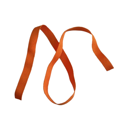 Лента для бейджа, ширина 10 мм, длина 1 м, оранжевая